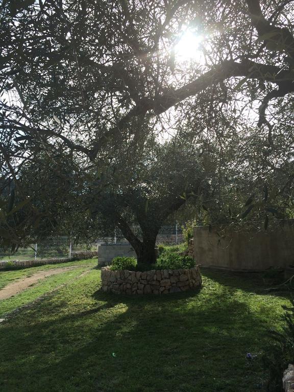 Mas Auguero Casa di campagna *