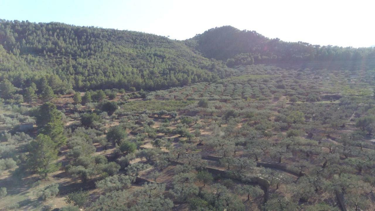 Mas Auguero Casa di campagna *